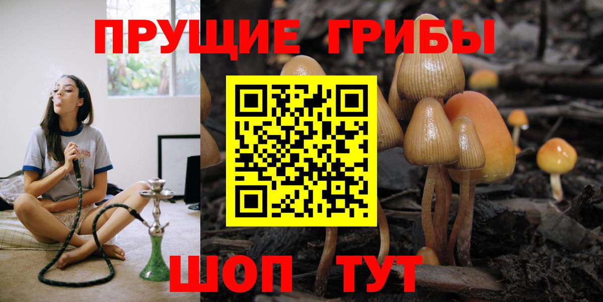 Псилоцибиновые грибы Magic Shrooms  Вход с VPN  Звенигород 